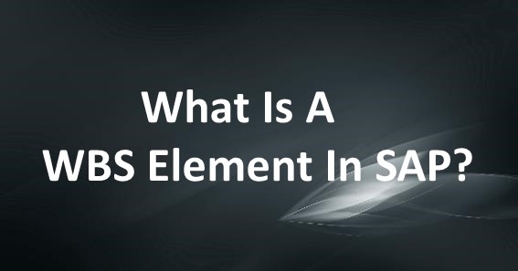 What Is A WBS Element In SAP
