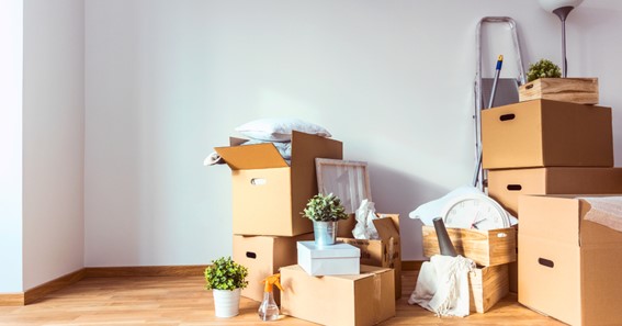 9 Things You Didn't Know About Moving Helpers