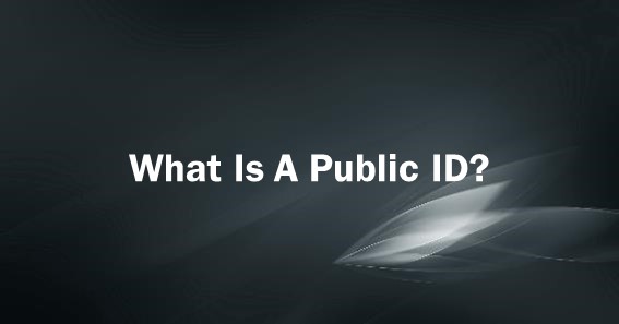 What Is A Public ID